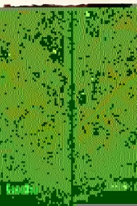 Хищник: Убийца убийц 